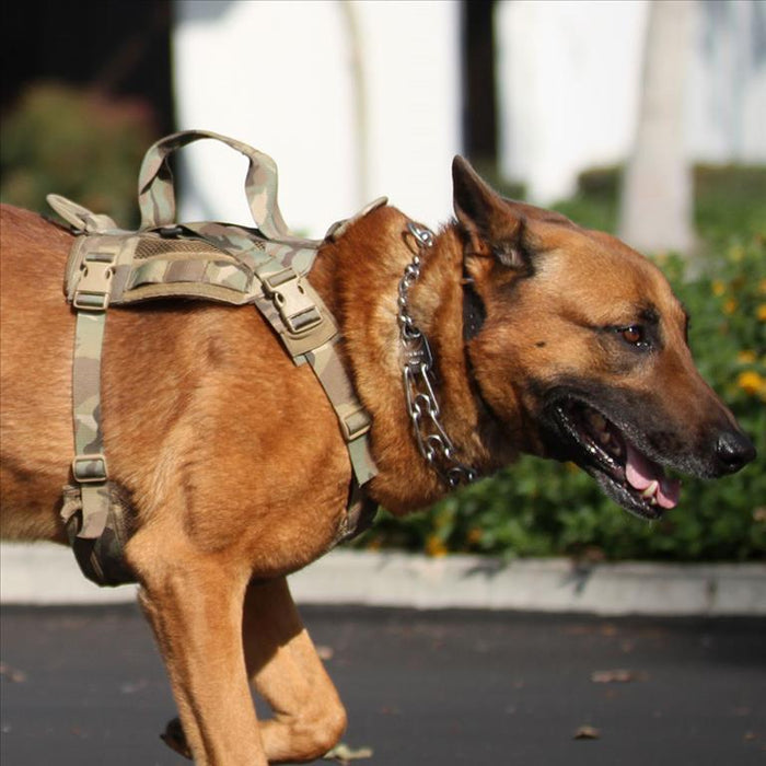 Advance Dynamic Systems EDO K9 Tactical Dog Harness